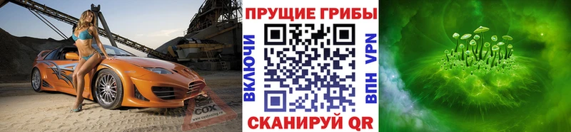 Псилоцибиновые грибы GOLDEN TEACHER  Плёс 